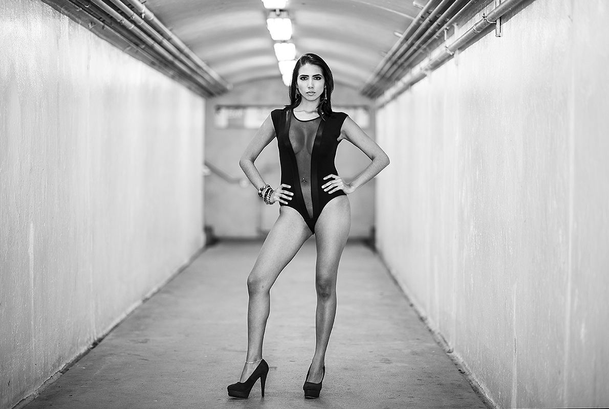 TSM Promo Model #9584